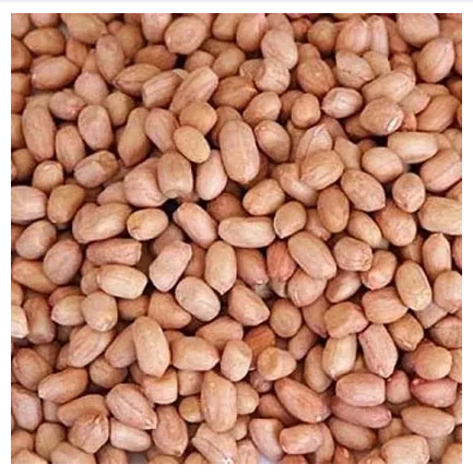 Peanuts (Roast) 500g